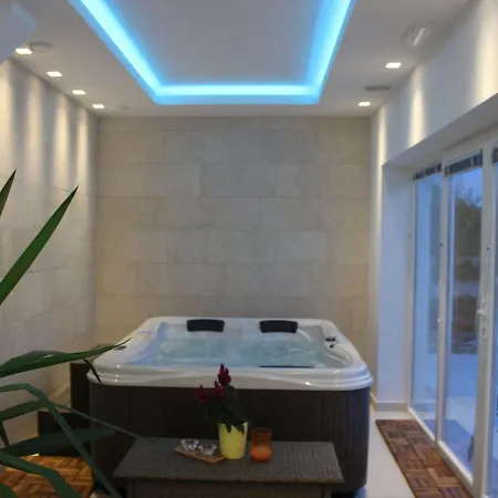 Luxurious In Lavanda In With Private Pool Vila Kanfanar